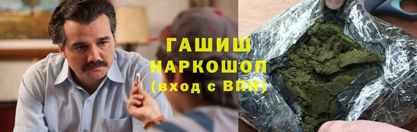 дмт Ельня
