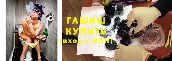 дмт Ельня