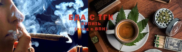 дмт Ельня
