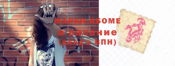 дмт Ельня