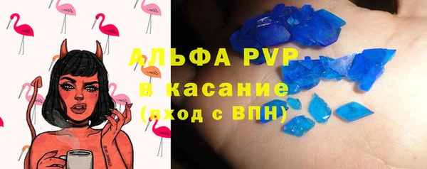дмт Ельня