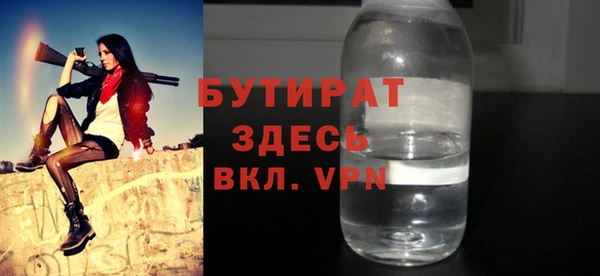 дмт Ельня