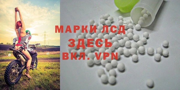 ALPHA-PVP Елизово