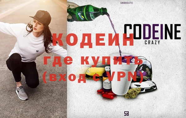 дмт Ельня
