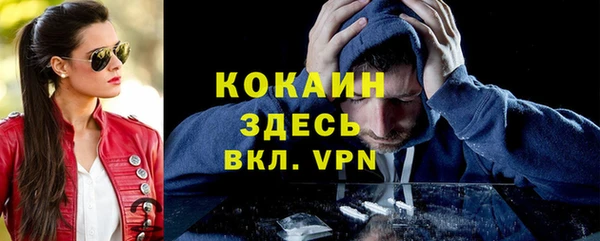 ALPHA-PVP Елизово