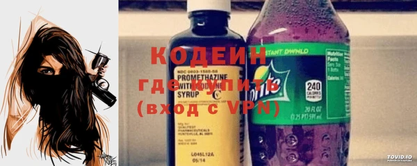 дмт Ельня