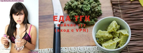 дмт Ельня