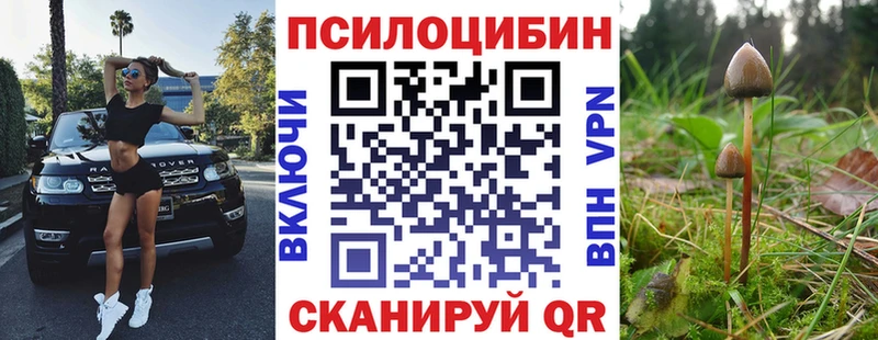 Купить закладки  Евпатория  Псилоцибиновые грибы Psilocybe 